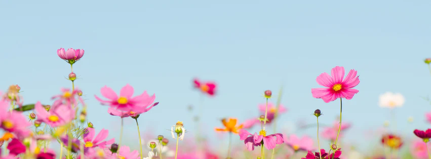 Where the Home Grows